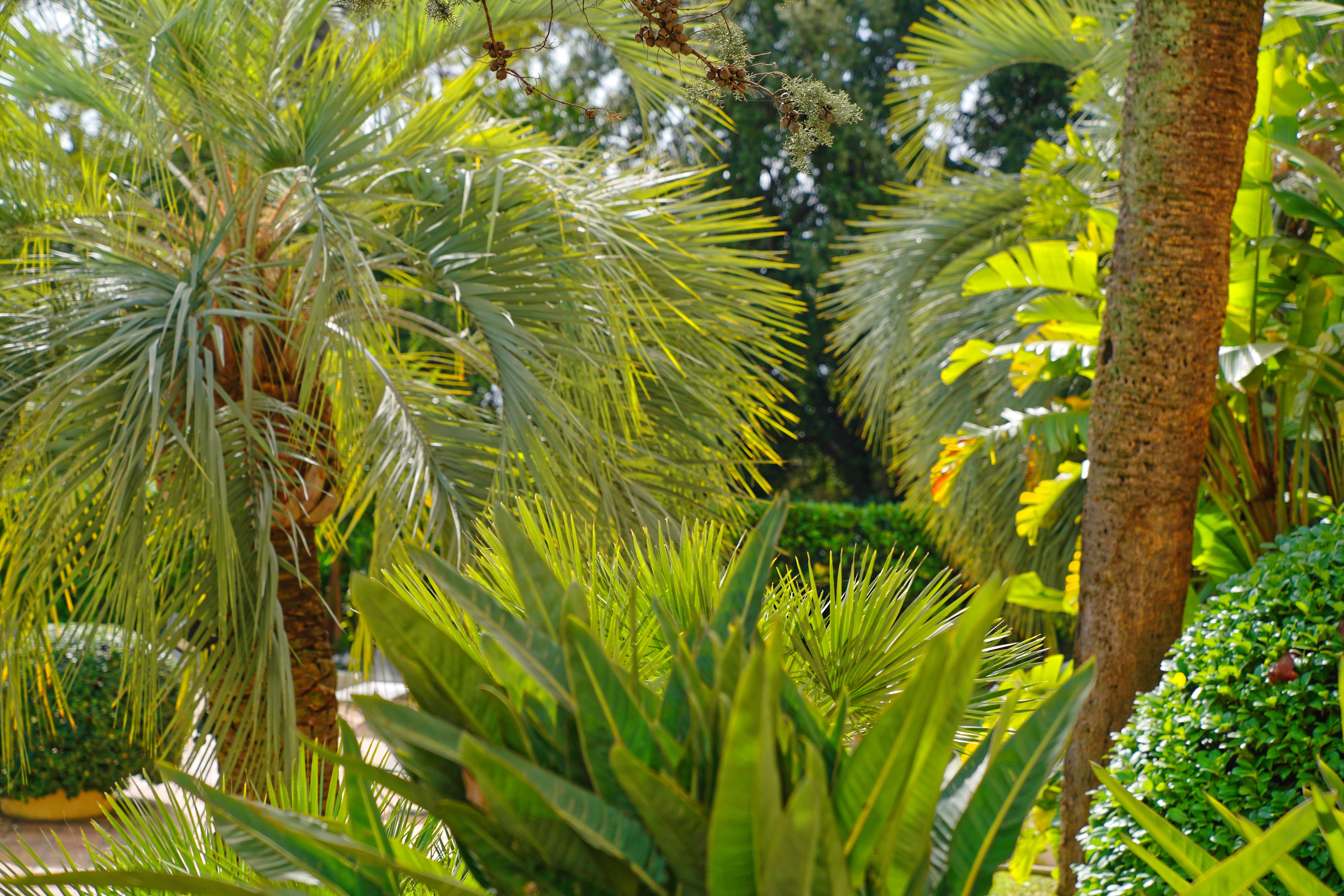 Luxotel Cannes Luaran gambar