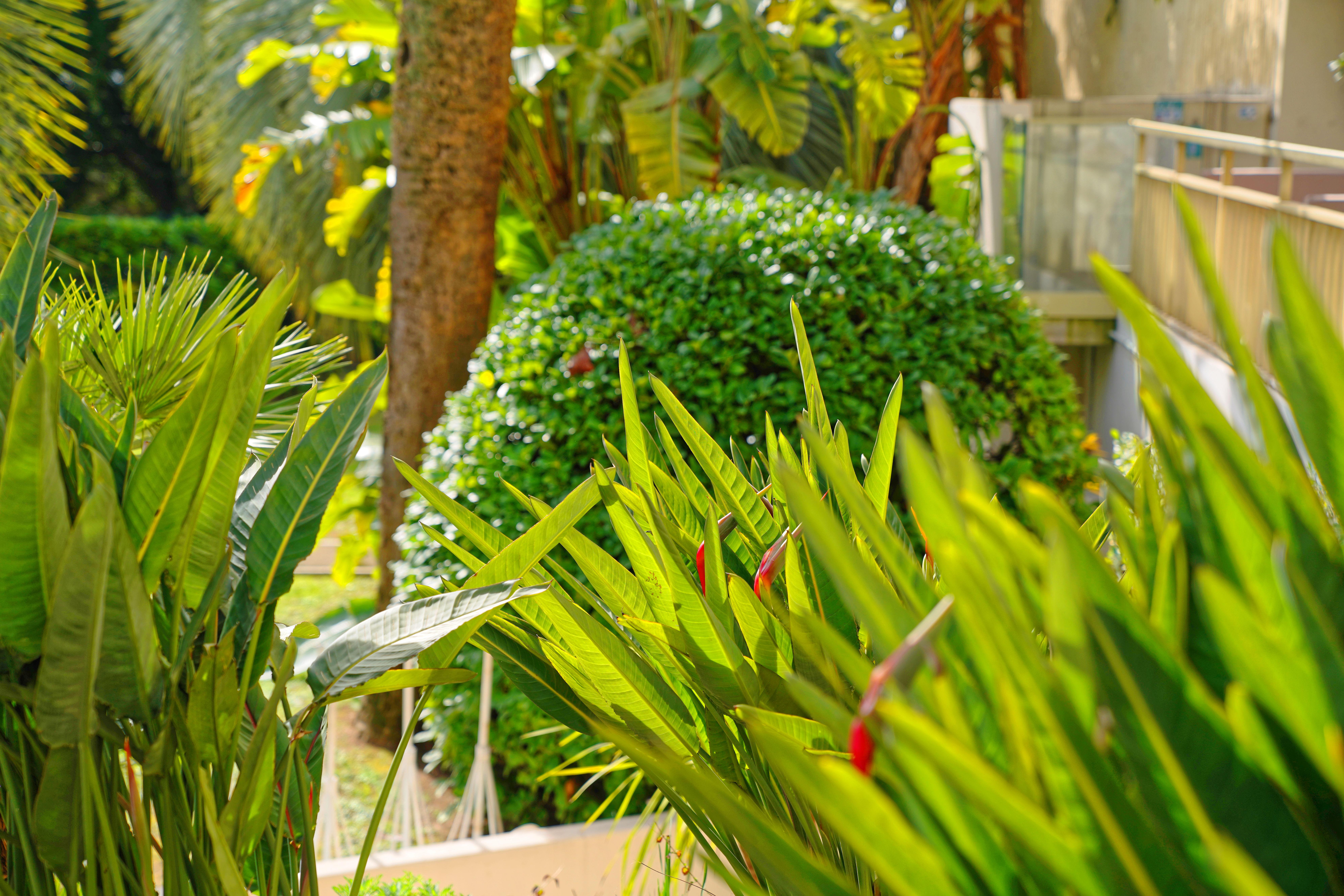 Luxotel Cannes Luaran gambar