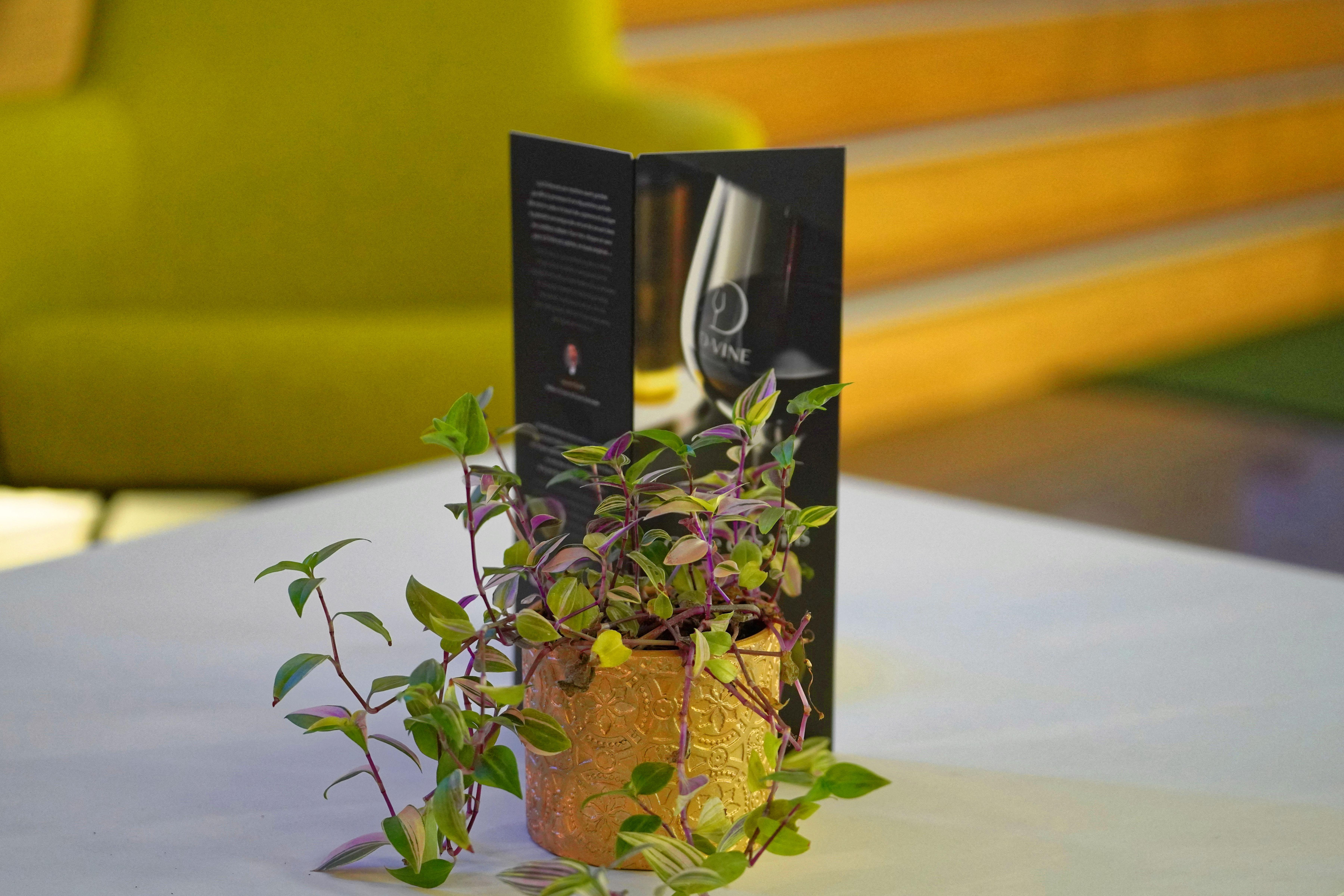 Luxotel Cannes Luaran gambar