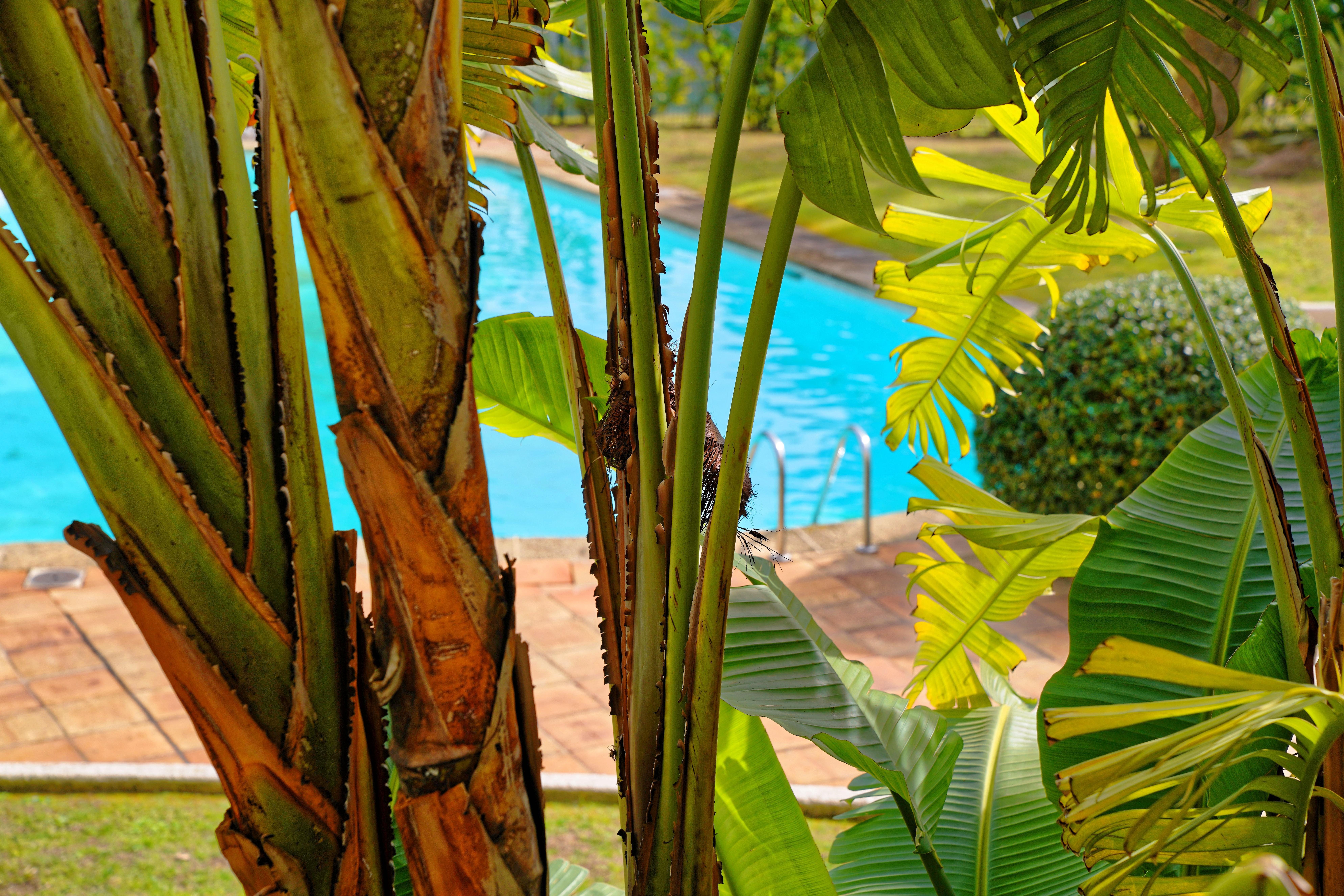 Luxotel Cannes Luaran gambar